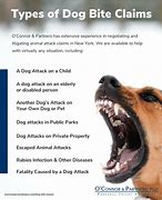 Image result for Dog Bite Injury Pics