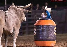 Image result for Clint Sylvester Rodeo Clown