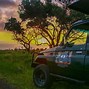 Image result for Night Safari Amboseli