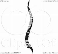 Image result for Human Spine Black and White