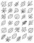 Image result for Christmas Leaf Drawing