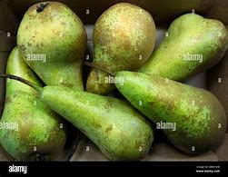 Image result for 16 Pears