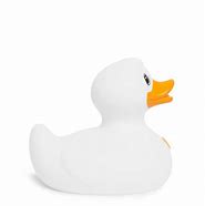 Image result for Fluffy Duck