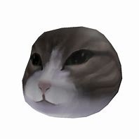 Image result for Wawa Cat PNG