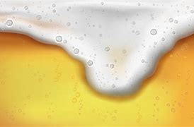 Image result for Beer Cover Photo Foam