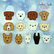 Image result for Dog Breed Faces