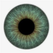 Image result for 6000K Eye Texture