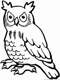 Image result for Owl Print Out