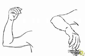 Image result for Hand and Arm Drawing