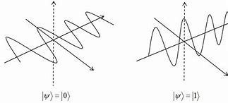 Image result for Horizontal and Vertical Polarization