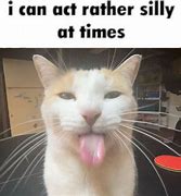 Image result for dog memes about cats