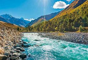 Image result for International Rivers Image