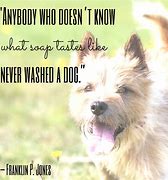 Image result for Happy Dog Sayins