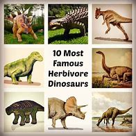 Image result for Dinosaurs Herbivor