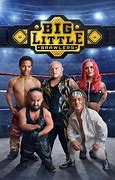 Image result for Psycho Sid Big Little Brawlers