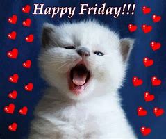 Image result for Good Morning Cat Friday