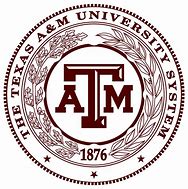 Image result for Texas Aemt Stockerpng