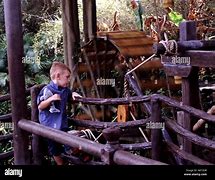 Image result for Swiss Family Robinson Treehouse Disney