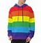 Image result for Rainbow Cat Hoodie