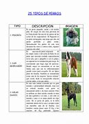 Image result for Tipos De Perros