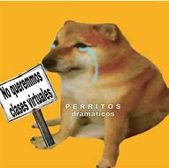 Image result for Ya No Quiero NADA Meme