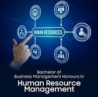 Image result for Job Vacancy Human Resource