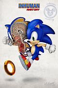 Image result for Sonic Anatomy