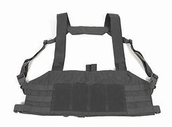 Image result for Blue Force Gear Chest Rig