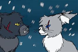 Image result for Gray Warrior Cats