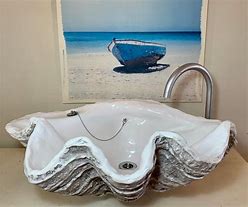 Image result for Pearl Clam Shell Sink