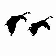 Image result for Snow Goose Decal