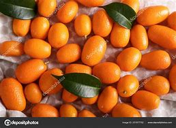 Image result for Kumquat Like Fruit