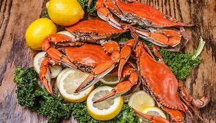 Image result for Blue Crab in Container