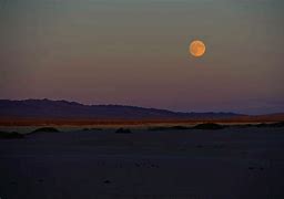 Image result for Over the Moon Gobi