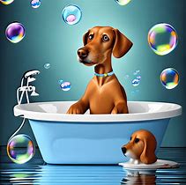 Image result for Dog Bubble Bath