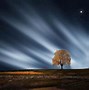 Image result for Lonely Man Black Background Night