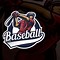 Image result for 406 Baseball Logo