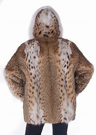 Image result for Lynx Fur