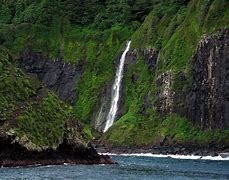 Image result for Isla Coco Qui