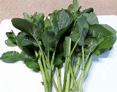 Image result for Choy Sum