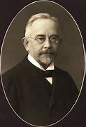 Image result for Wilhelm Johansen