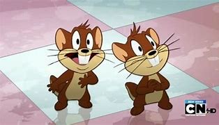 Image result for Gopherus Auffenbergi