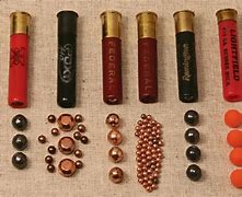 Image result for Birdshot Shells