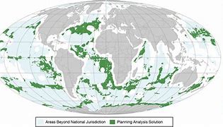 Image result for Biodiversity in Ocean