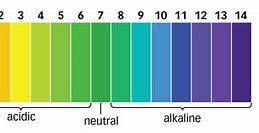 Image result for Ph Scale for Soil