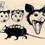 Image result for Possum Tongue