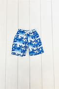 Image result for Tropical Swim Trunks