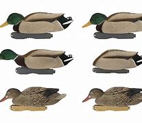 Image result for Duck Decoy Weights