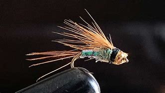 Image result for Fly Fishing Bait