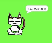 Image result for Catto Boi